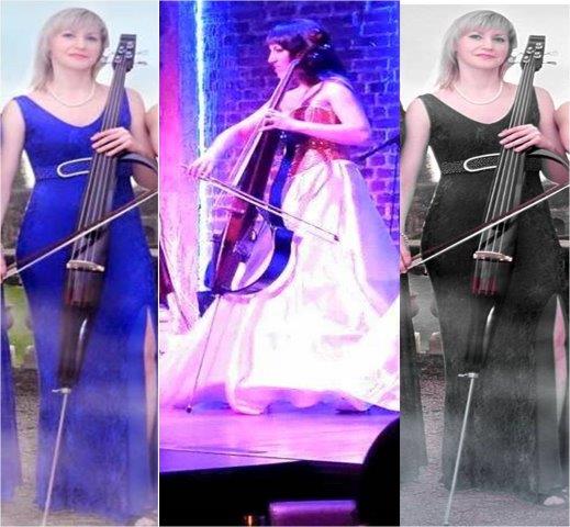 cello artists ajmer