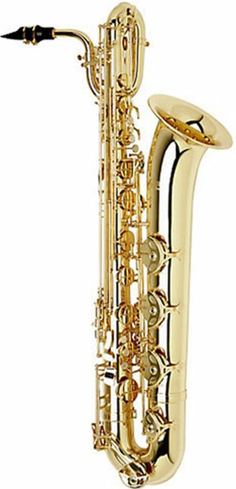 good saxophone on rent ajmer