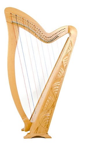 best harp on rent ajmer