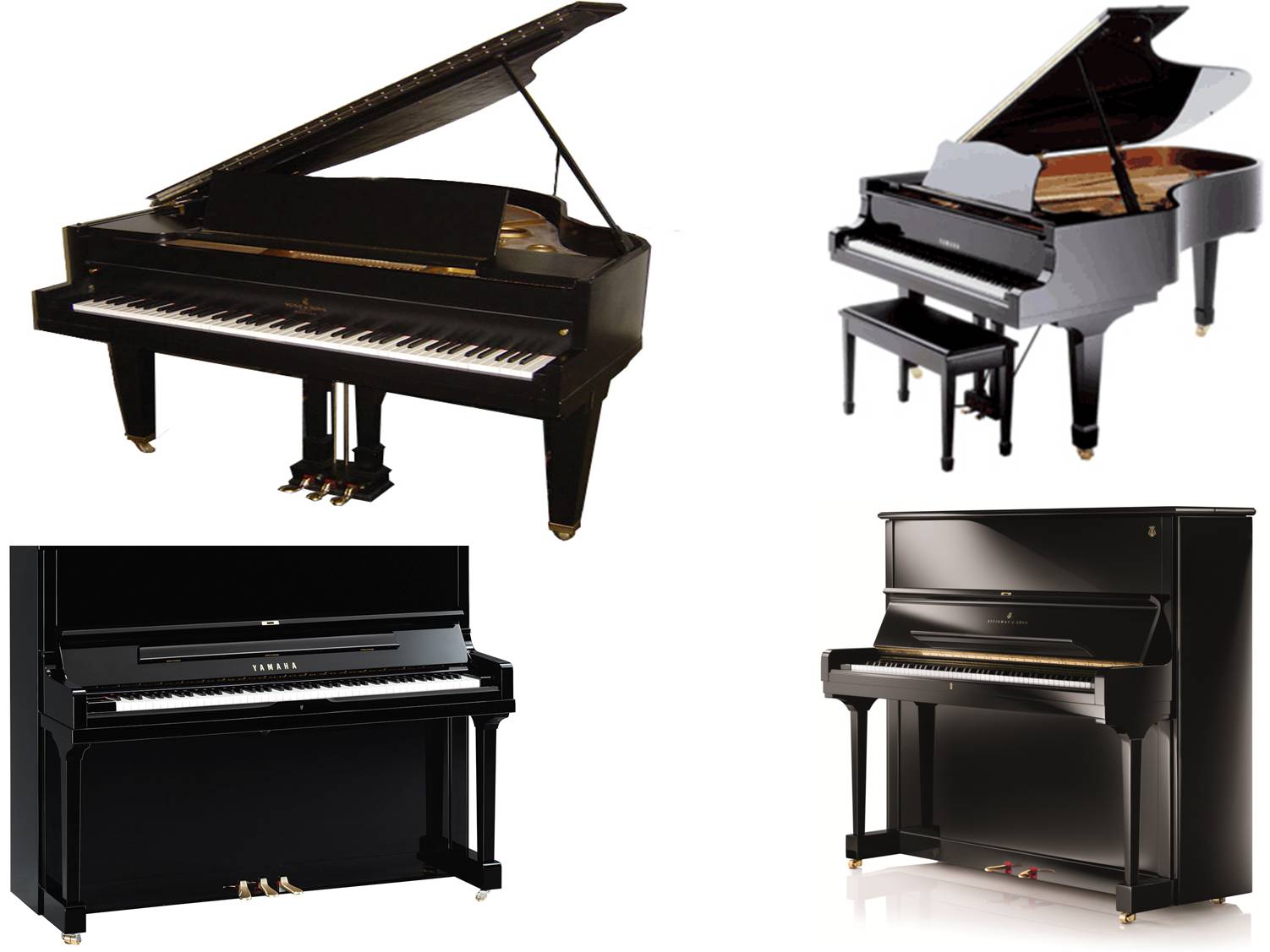 Grand Piano on rent in Ajmer